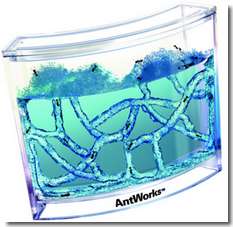 Antworks Antquarium