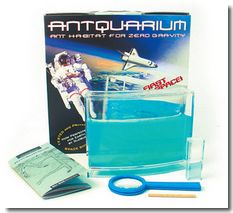 Antworks Antquarium