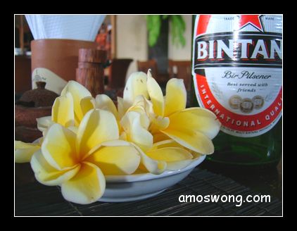 Bintang Beer and Frangipani Bintang Beer and Frangipani