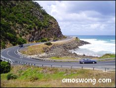Driving a Car in Hawaii on Twisted Roads